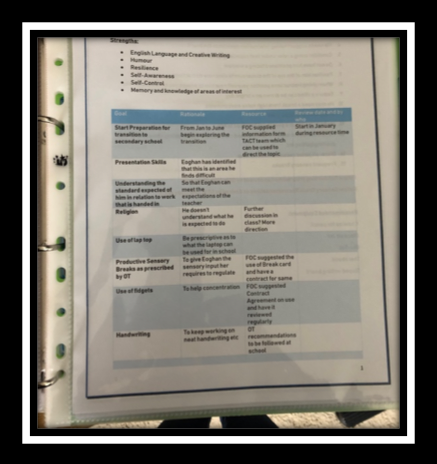 IEP_Binder_2
