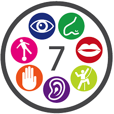 The 7 senses
